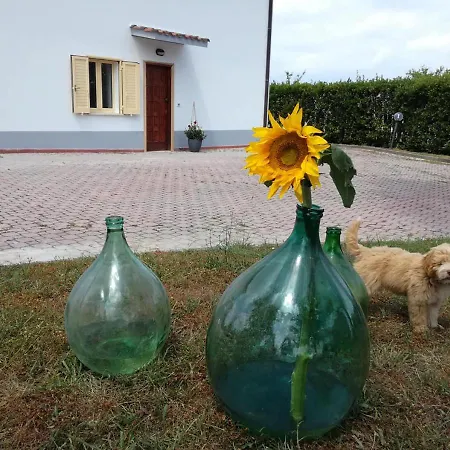Bed & Breakfast Casa Amrita, Yoga *
