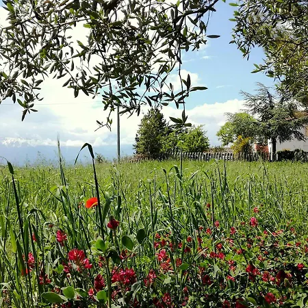 Bed & Breakfast Casa Amrita, Yoga