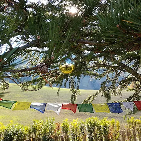 Casa Amrita, Yoga Отель типа 