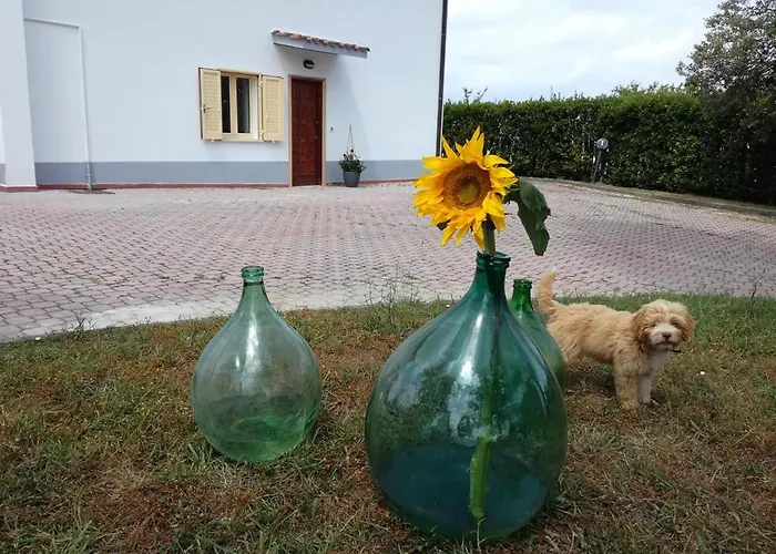 Bed & Breakfast Casa Amrita, Yoga *