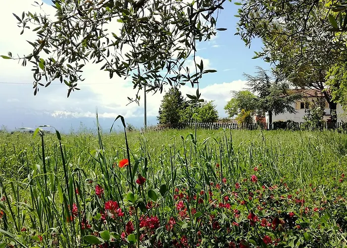 Bed & Breakfast Casa Amrita, Yoga