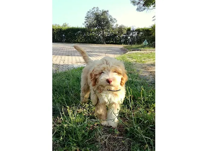 Bed & Breakfast Casa Amrita, Yoga